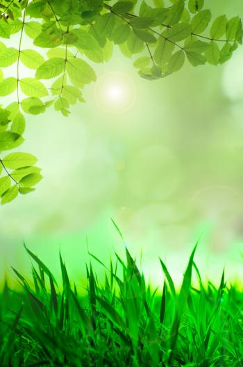 Natural Green Background Free Stock Photo - Public Domain Pictures