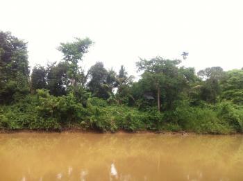 Nature in Beng Lake