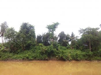 Nature in Beng Lake