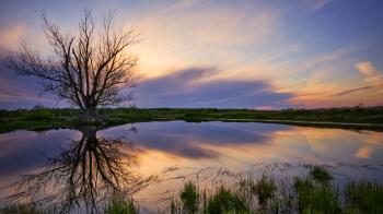 Reflection Backgrounds → Nature Gallery