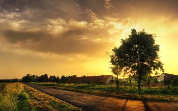 Nature Scene #6996208