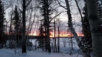Night – Life