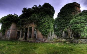 Nature taking over the ruins HD desktop wallpaper : Widescreen ...