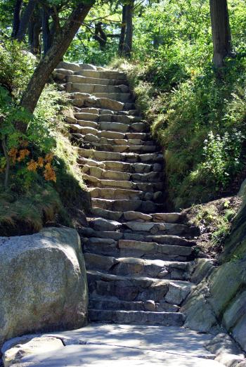 Nature's Stairway