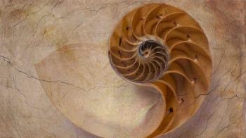In a Shot Across the Bow of Nautilus, Writers Demand Payment