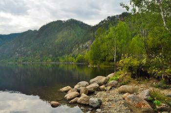 A Picturesque Place Near The River Free Stock Photo - Public Domain ...