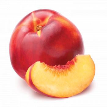 Nectarine Hookah Tobacco - Fumari