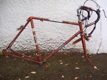 Neglected 1970s Healing 10 Speed Cycle