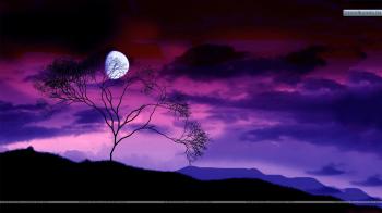 Colorful Night Scene With Moon Wallpaper