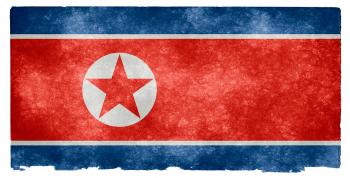 North Korea Grunge Flag