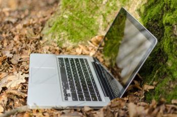 Notebook PC in Forest