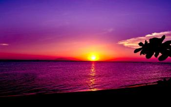 Ocean Sunset Wallpaper ·①