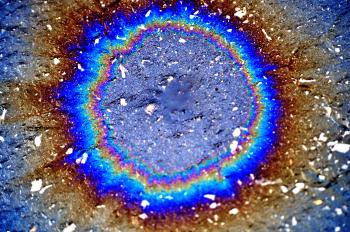 oil in water photography - Google Search | Liquid art | Pinterest ...
