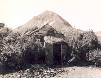 Free picture: old, abandoned, shack, houses