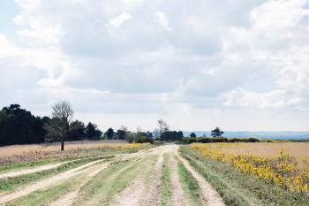 Sussex Walks - The Old Airstrip at Ashdown Forest. Photograhed by ...
