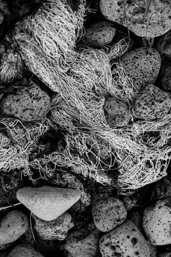 Old Fishing Nets and Rocks