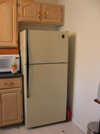 Out with the old, in with the new fridge | Frank and Zappa's Garden
