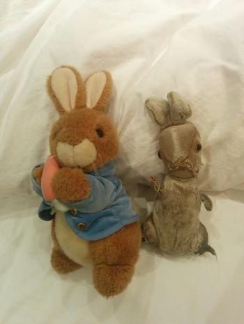 23 years ago, my girlfriend was given 2 identical stuffed Peter ...