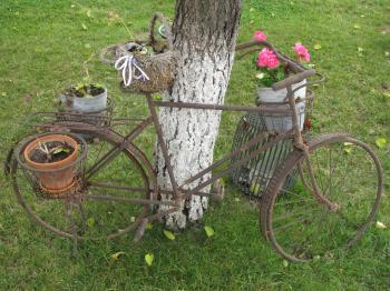 Old rusty bike with flower pots