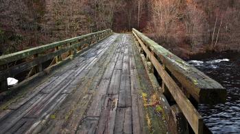 Bridges: Old Wooden Bridge Autumn Forest Wood River Fall Full HD for ...