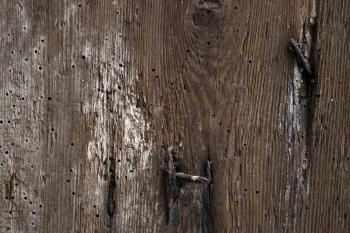 Free stock wood textures,old wood, cg textures, free download, wood ...