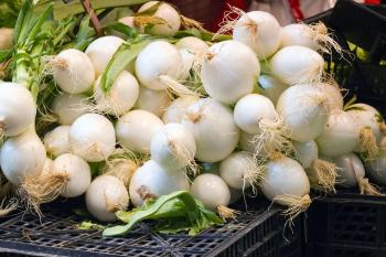 Onions at the Market