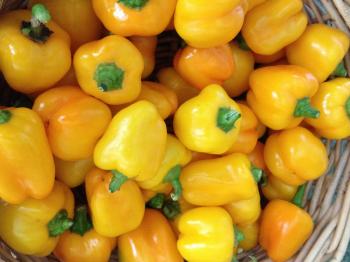 Miniature Yellow Bell Pepper Seeds