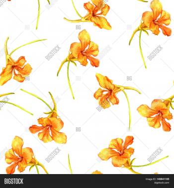 Seamless Pattern Watercolor Drawing Image & Photo | Bigstock
