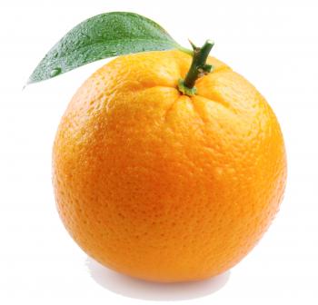 The Proverbial Orange - Beryl Tritel