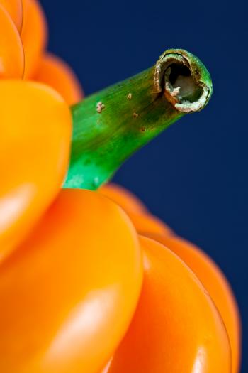 Orange Pepper Close-up