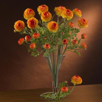 Orange Ranunculus Stem with Leaves