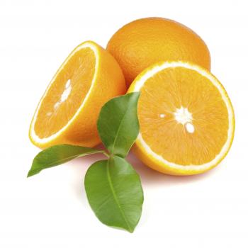 FreshPoint | Citrus, Orange