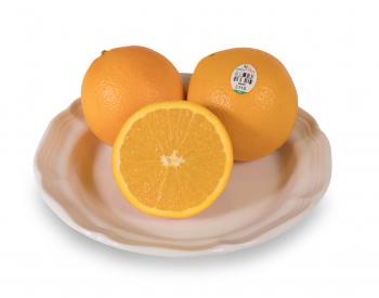 Navel & Valencia Oranges - Grow Pure LLC
