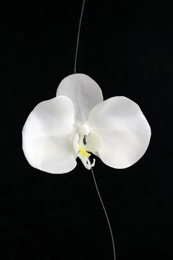 Silk White Orchid Garland 6ft 10 Orchids