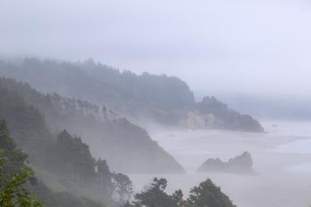 Oregon Coastal in Fog