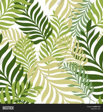 Green Palm Tree Vector & Photo (Free Trial) | Bigstock