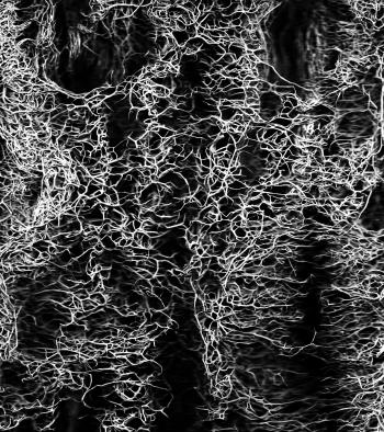 Organic | Texture Fabrik