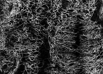 Evil texture by Darknight-Stock | Textures | Pinterest