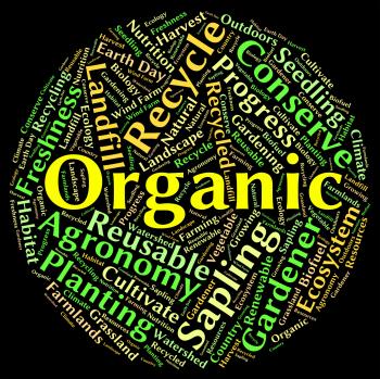 Organic Word Means Natural Healthy And Nature