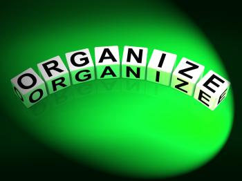 Organize Dice Represent Organization Management and Established Struct