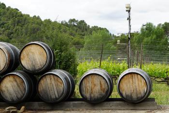 Outdoor Wine Barrels