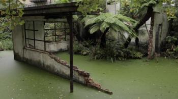 Post apocalyptic decaying house ruins overgrown in jungle ...