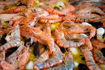 paella shrimps dish