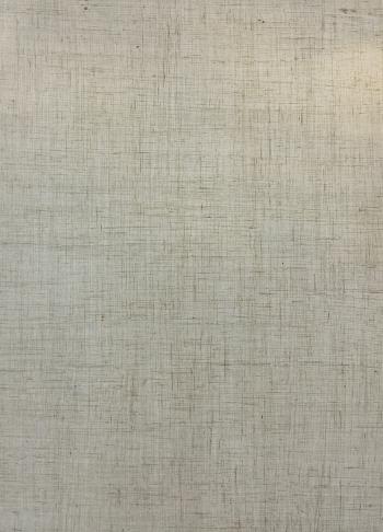 Painted Wall Finishes