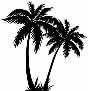 Tropical Trees Silhouette