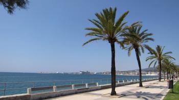 Palma's Coastline by Bicycle - StayCatalina