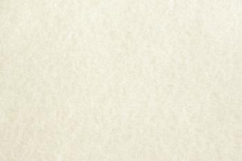 parchment-paper-light-texture | Newton Baptist Church