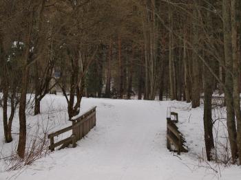 Park at winter