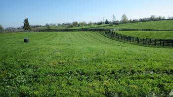 UK Horse Pasture Evaluation Program | Equine Programs