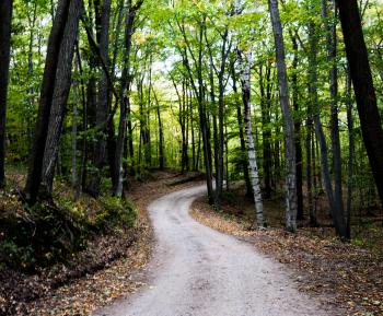 Path Through the Woods - Free Stock Photo - Easy Download
